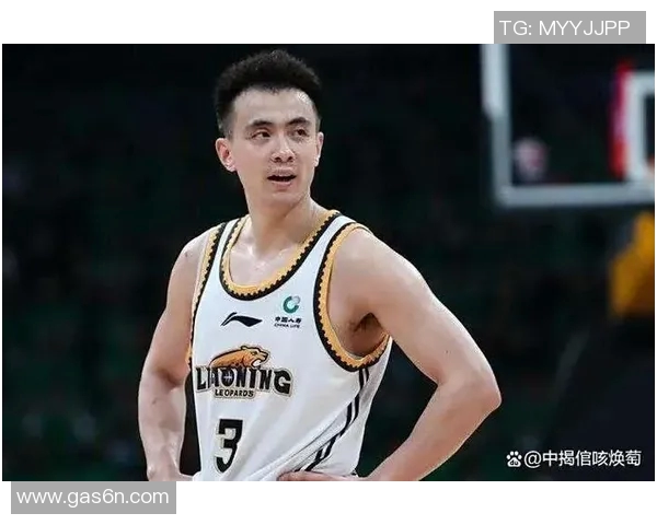 辽宁篮球明星的居住地分布及其背后的故事探秘